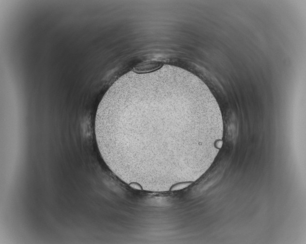 X0000110910620200907161500