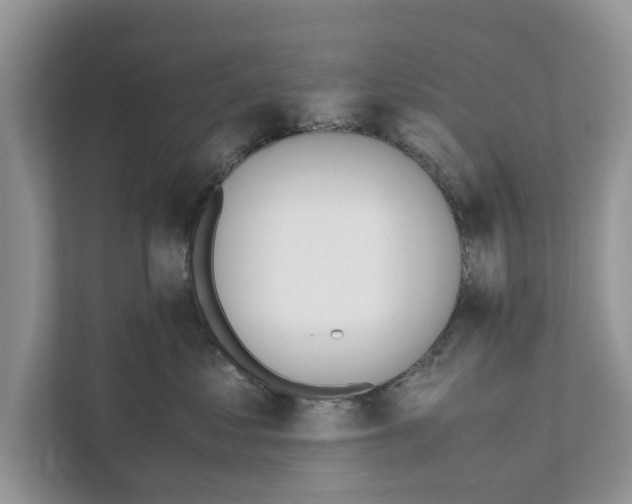 X0000110910621200907161500