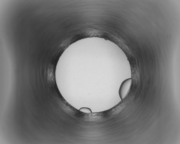 X0000110910622200907161500