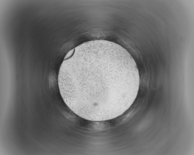 X0000110910623200907161500