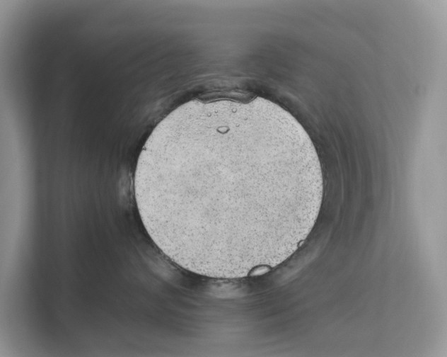 X0000110910624200907161500