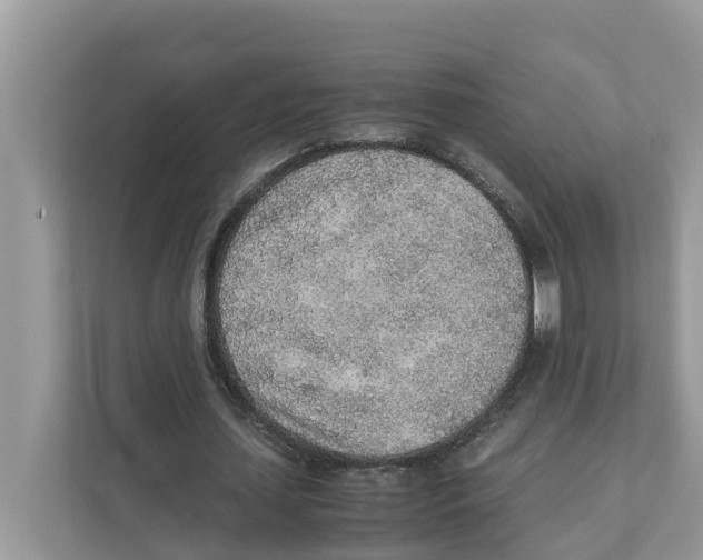 X0000110910627200907161459