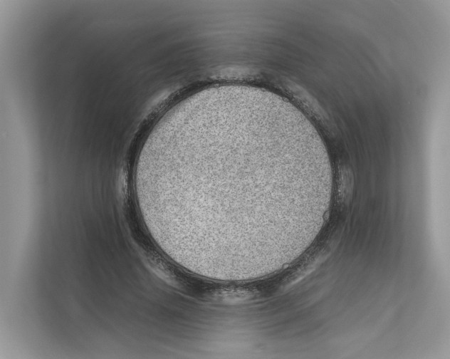 X0000110910636200907161459