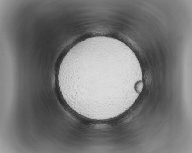 X0000110910637200907161459