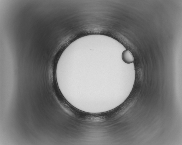 X0000110910638200907161459