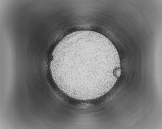 X0000110910642200907161459