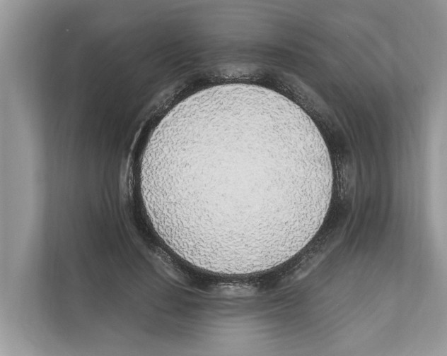 X0000110910644200907161459