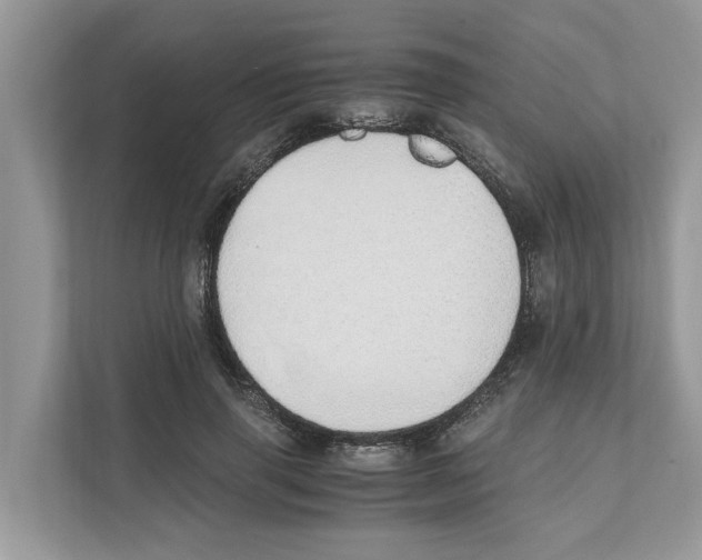 X0000110910645200907161459