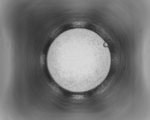 X0000110910649200907161500