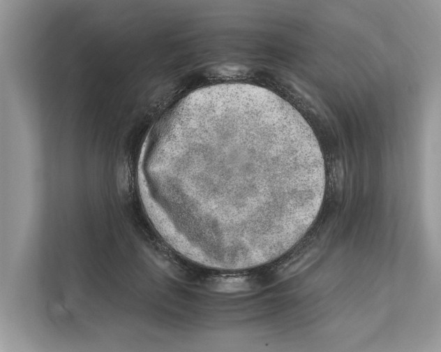 X0000110910651200907161500