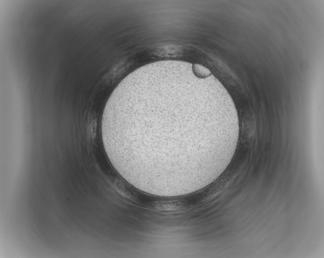 X0000110910652200907161500