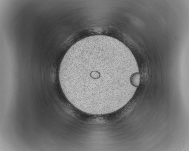 X0000110910656200907161500