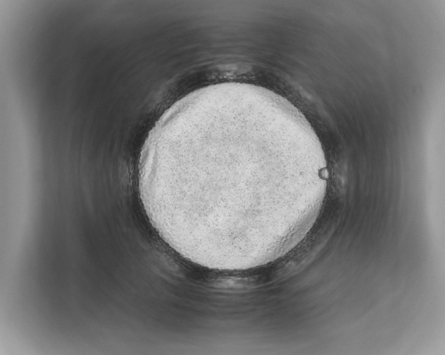 X0000110910657200907161500