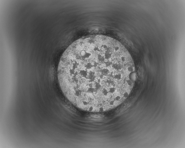 X0000110910659200907161500