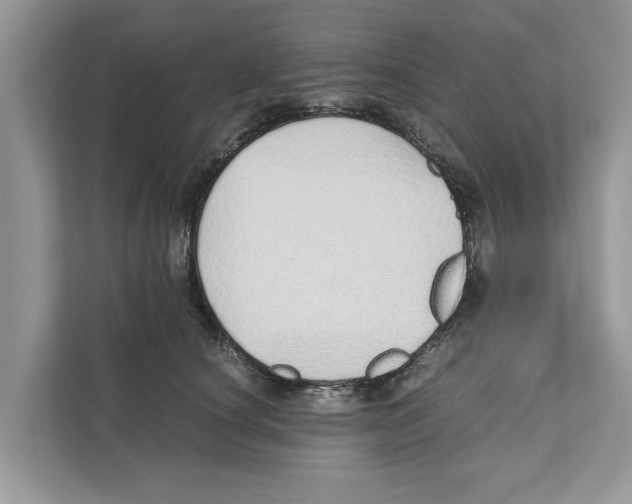 X0000110910660200907161500