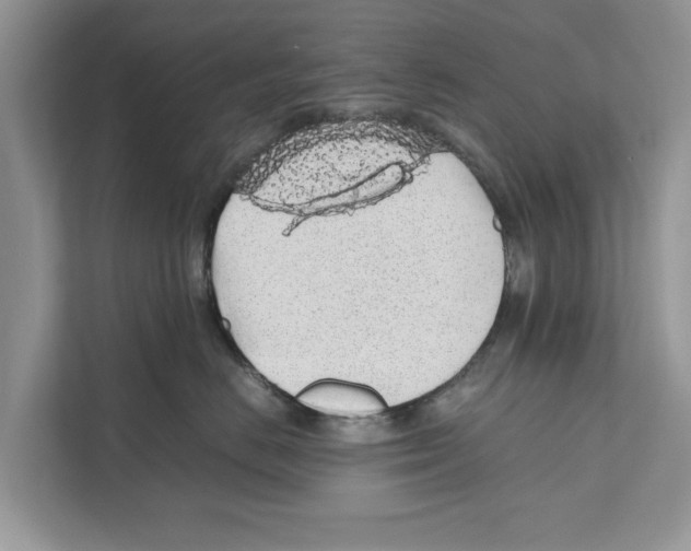 X0000110910670200907161500