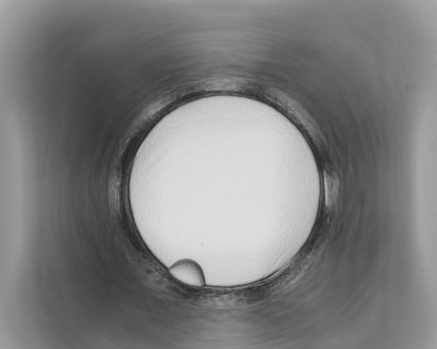 X0000110910675200907161459