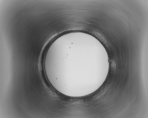 X0000110910676200907161459