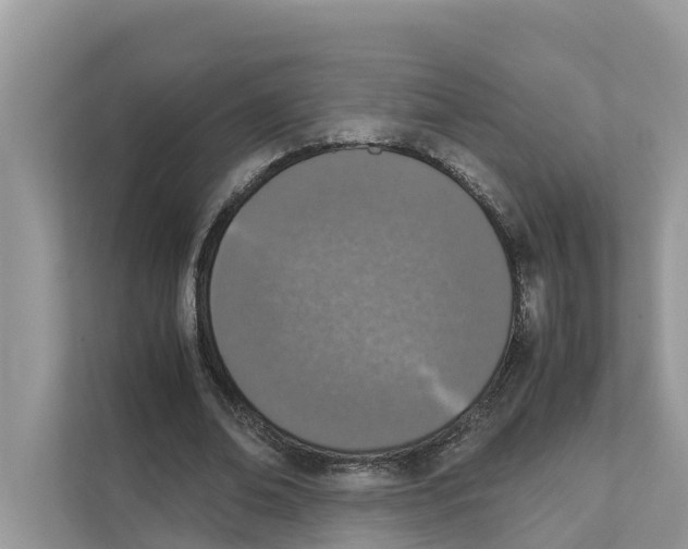 X0000110910678200907161459