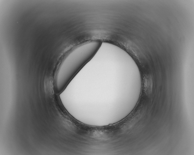 X0000110910684200907161459