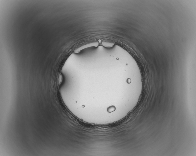 X0000110910701200907161459