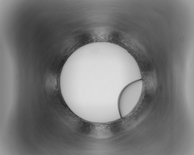 X0000110910709200907161459