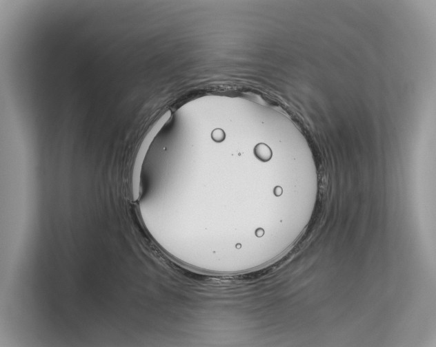 X0000110910713200907161459