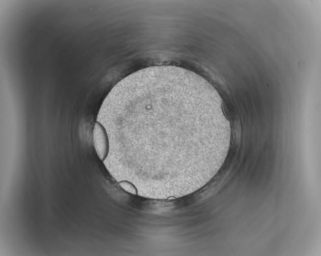 X0000110910719200907161458