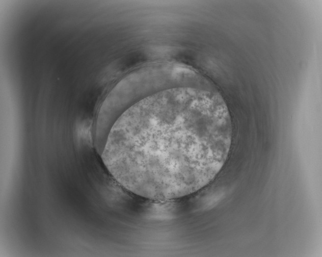 X0000110910720200907161458