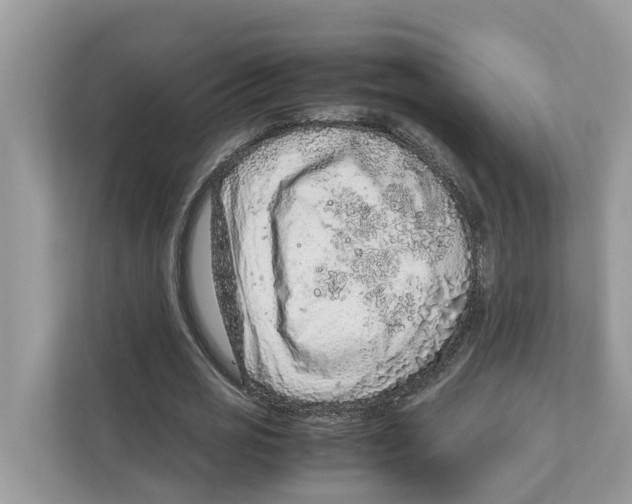 X0000110910725200907161458