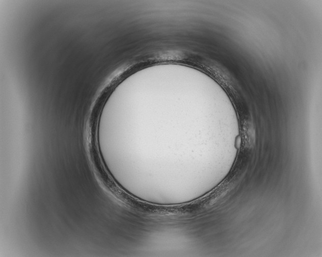 X0000110910726200907161458