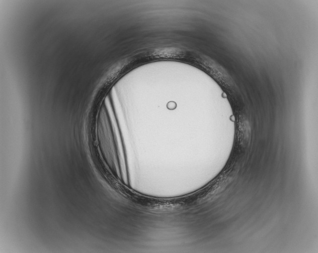 X0000110910734200907161458