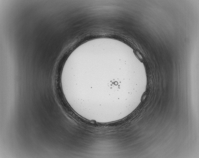 X0000110910736200907161458