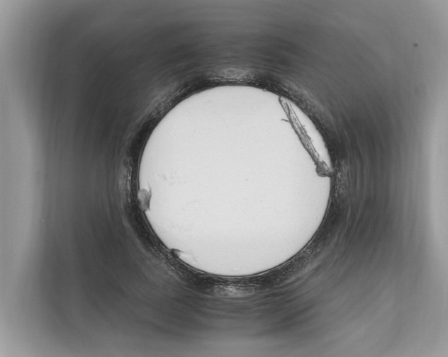 X0000110910739200907161458