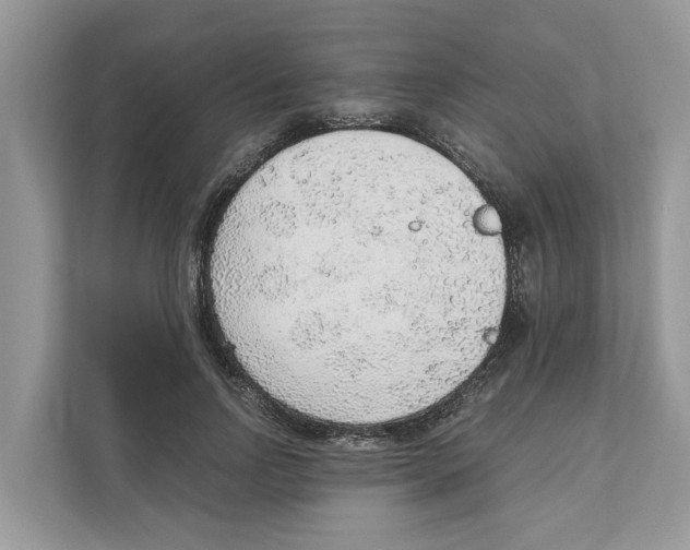 X0000110910742200907161458