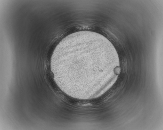 X0000110910747200907161458