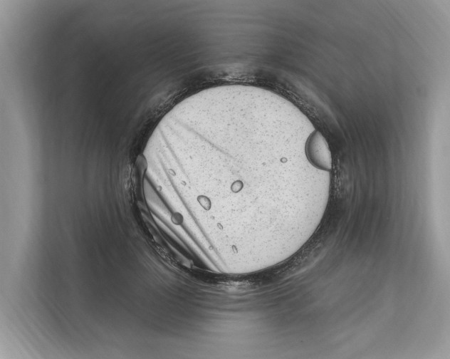 X0000110910748200907161458