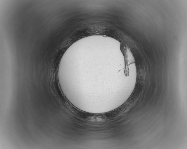 X0000110910751200907161458