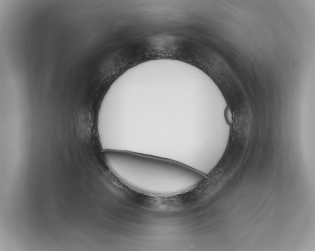 X0000110910752200907161458