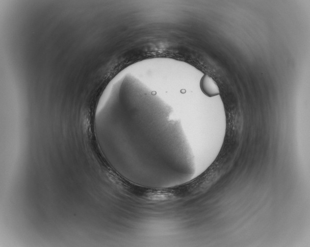 X0000110910754200907161458