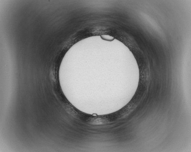 X0000110910755200907161458