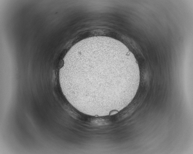 X0000110910759200907161458