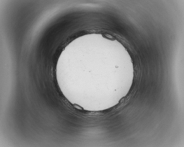 X0000110910762200907161458