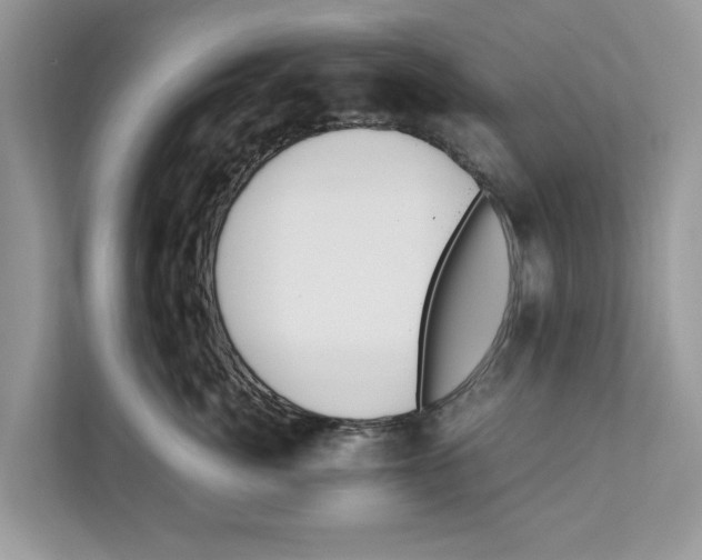 X0000110910764200907161458