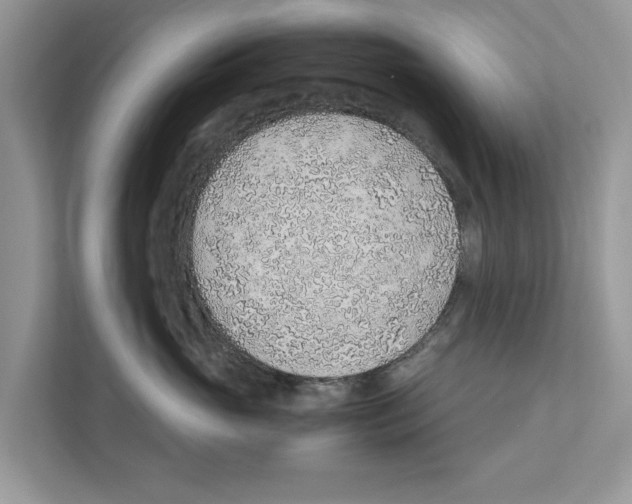 X0000110910765200907161458