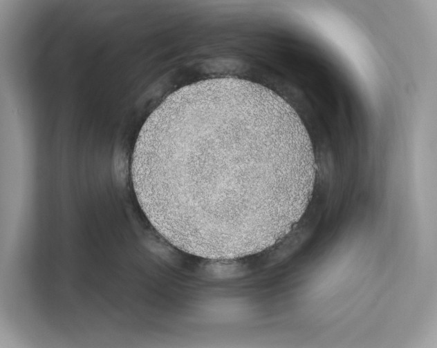 X0000110910767200907161458