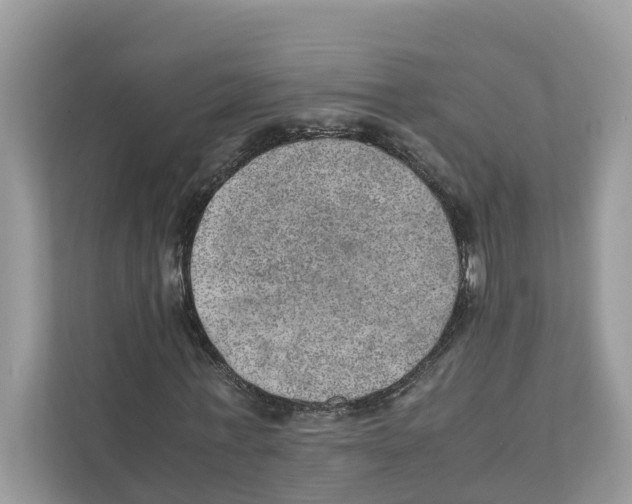 X0000110910771200907161458