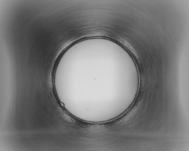 X0000110910789200907161458