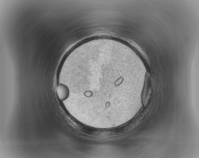 X0000110910791200907161458