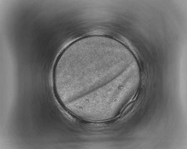 X0000110910795200907161457